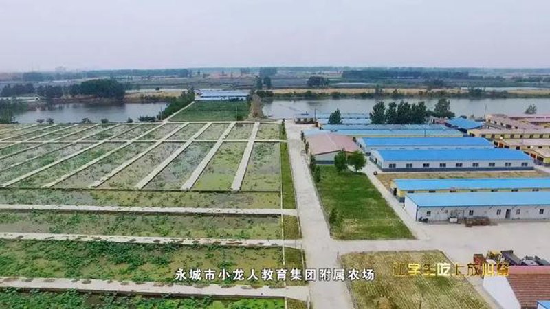 如何选购满意的食堂承包服务？一文告诉你